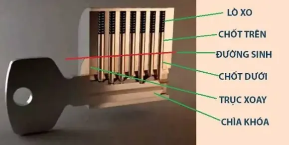 Mở Khóa Xe VinFast Bằng Dụng Cụ Chuyên Dụng – Hỗ Trợ 24/7 Tại Nhà